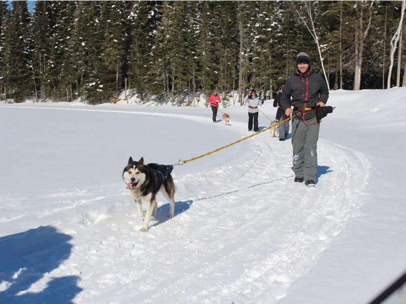 Snowshoe Joring - La Boréale