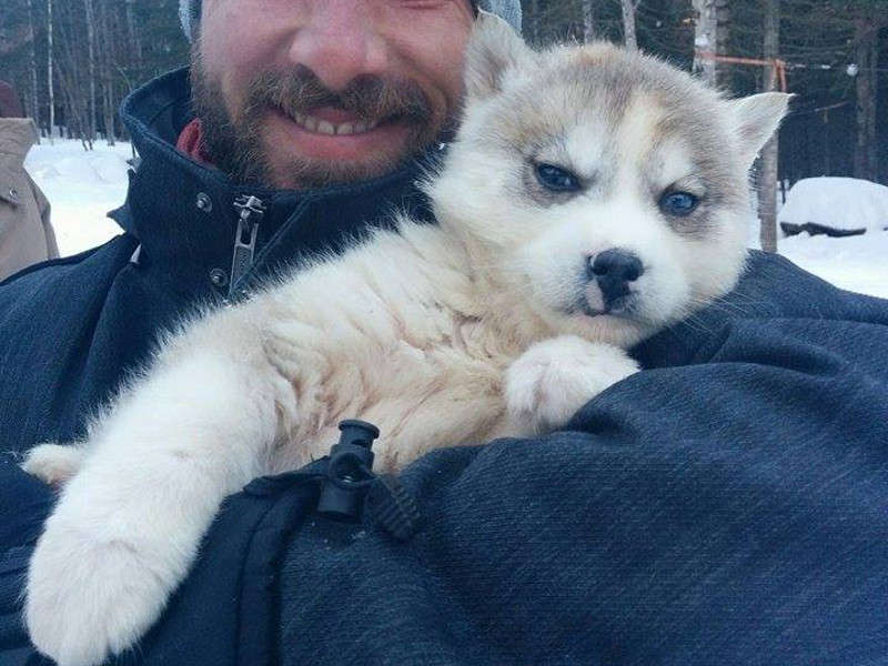 Traineau à chien VIP pour 4 personnes